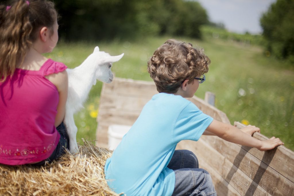 Activité enfant - office de tourisme de rouillac